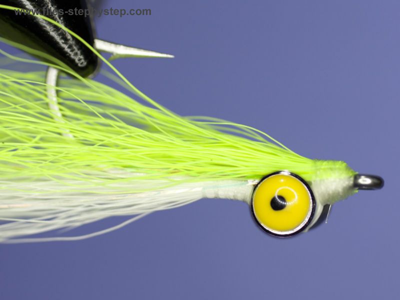 Complete Guide to Fly Fishing with the Clouser Minnow (Setup, Fish
