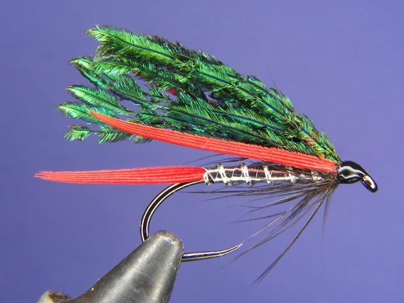 Alexandra Streamer, Global FlyFisher