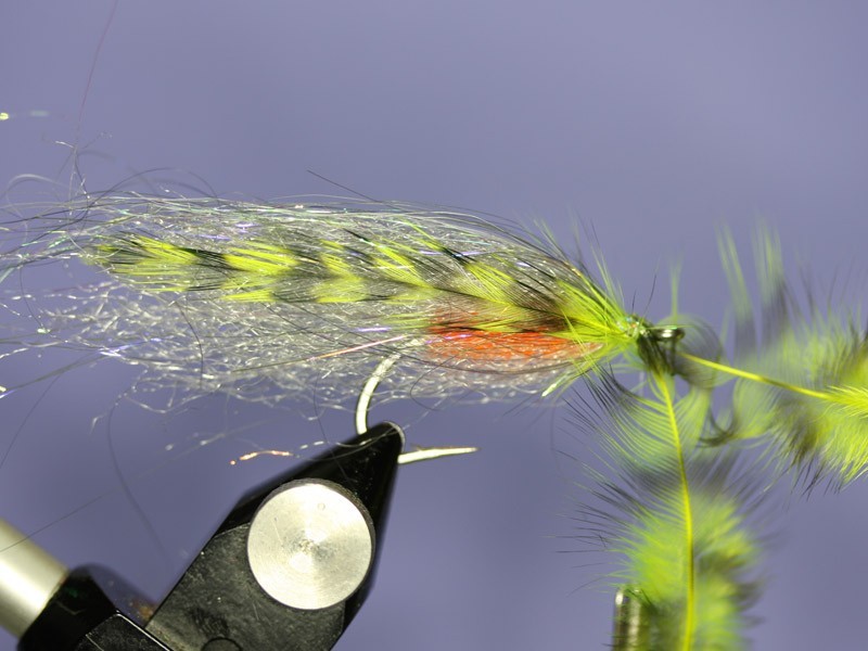 Baitfish streamer fly - Fly tying step by step Patterns & Tutorials