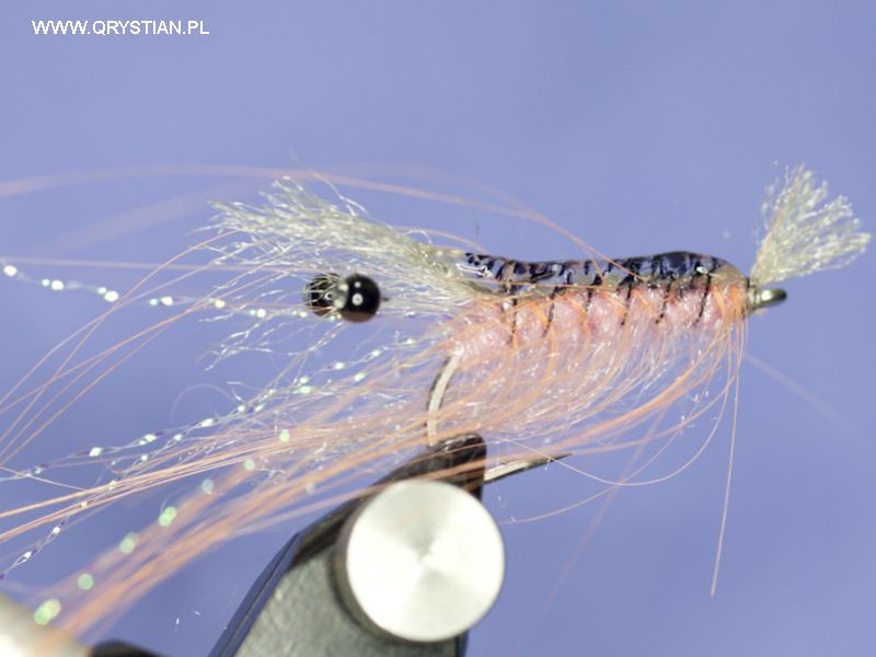 Fly tying STF shrimp Saltwater fly (Step-by-step tutorial) 