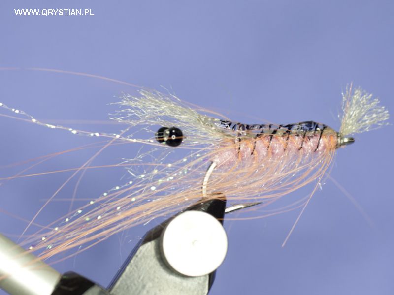 Shrimp fly - Fly tying step by step Patterns & Tutorials